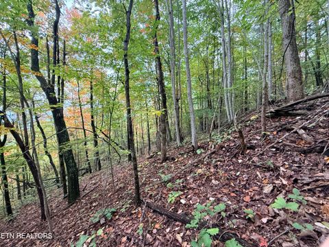 Tiny photo for 192 Clinch View Road, New Tazewell, TN 37825 (MLS # 1316476)
