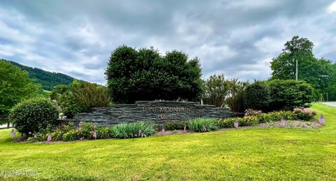 Tiny photo for 192 Clinch View Road, New Tazewell, TN 37825 (MLS # 1316476)
