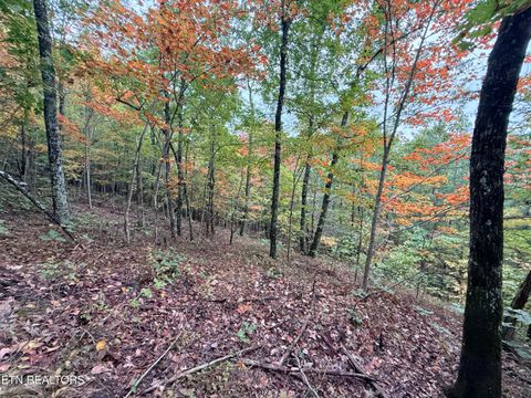 Tiny photo for 192 Clinch View Road, New Tazewell, TN 37825 (MLS # 1316476)