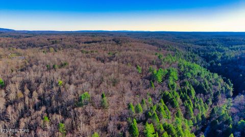 Photo of 4 Ervin Brown Rd #Tract 4, Sunbright, TN 37872 (MLS # 1336259)