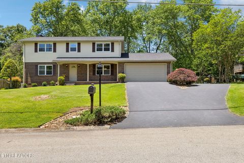 1009 Brantley Drive Knoxville TN 37923