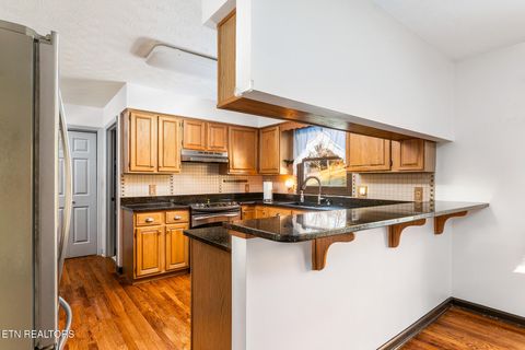 Tiny photo for 227 Lone Ridge Lane, Clinton, TN 37716 (MLS # 1325924)