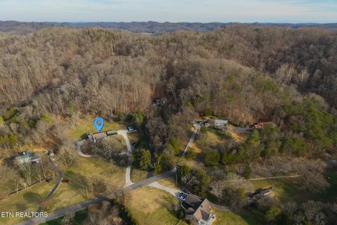 Tiny photo for 227 Lone Ridge Lane, Clinton, TN 37716 (MLS # 1325924)