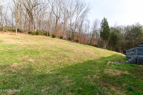 Tiny photo for 227 Lone Ridge Lane, Clinton, TN 37716 (MLS # 1325924)