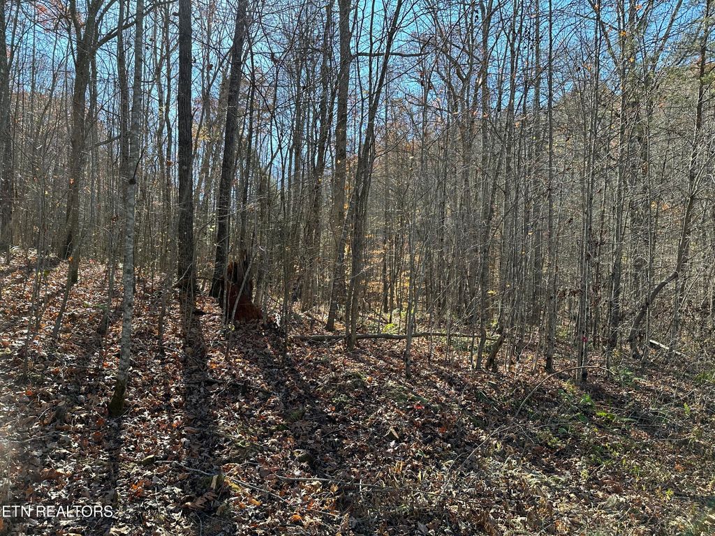 Photo of (114 029.00) Hurricane Rd, Huntsville, TN 37756 (MLS # 1245734)