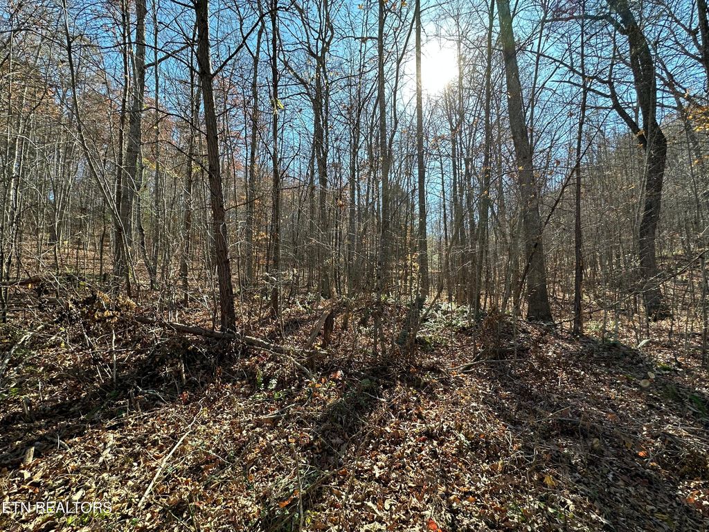 Photo of (114 029.00) Hurricane Rd, Huntsville, TN 37756 (MLS # 1245734)