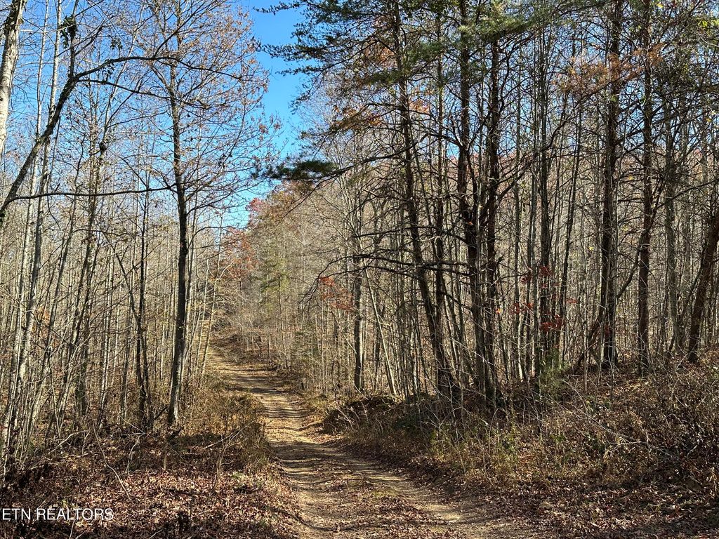 Photo of (114 029.00) Hurricane Rd, Huntsville, TN 37756 (MLS # 1245734)