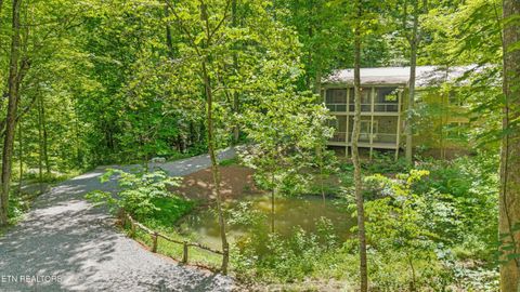 2991 Walden Flats Way Sevierville TN 37862