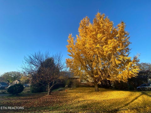 Tiny photo for 2135 Maplewood Drive, Knoxville, TN 37920 (MLS # 1355674)