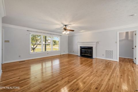 Tiny photo for 131 Overton Lane, Powell, TN 37849 (MLS # 1340623)