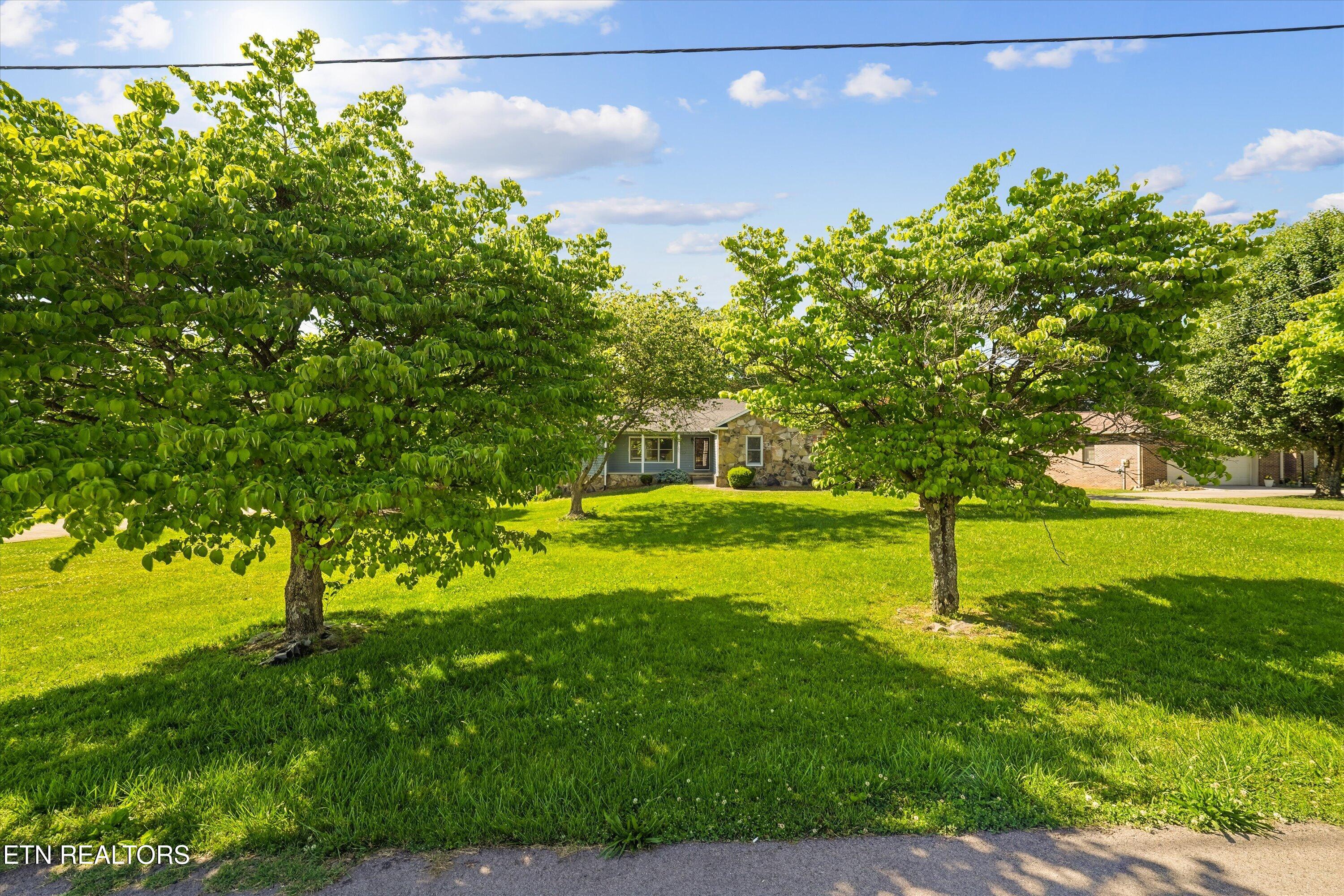 131 Overton Lane