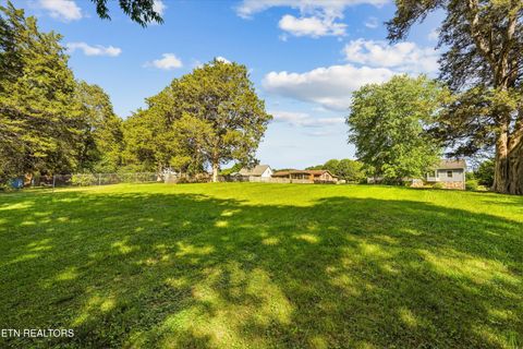 Tiny photo for 131 Overton Lane, Powell, TN 37849 (MLS # 1340623)