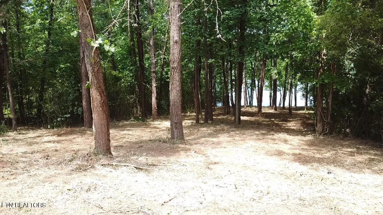 764 Wood Duck Drive