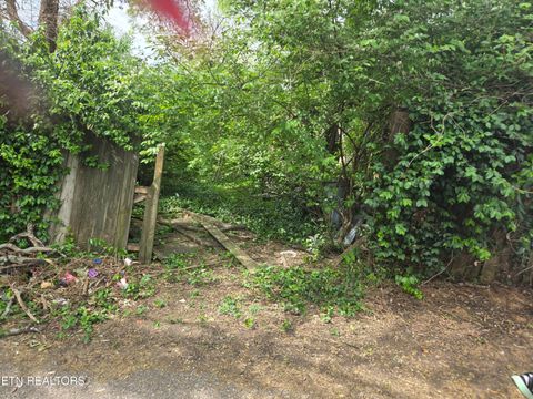 Tiny photo for 1521 Boyd St, Knoxville, TN 37921 (MLS # 1341267)