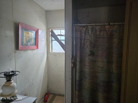 Tiny photo for 1521 Boyd St, Knoxville, TN 37921 (MLS # 1341267)