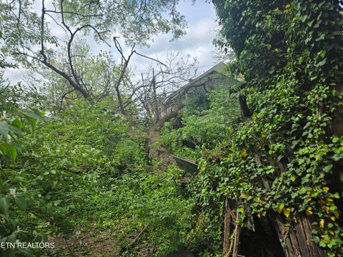 Tiny photo for 1521 Boyd St, Knoxville, TN 37921 (MLS # 1341267)