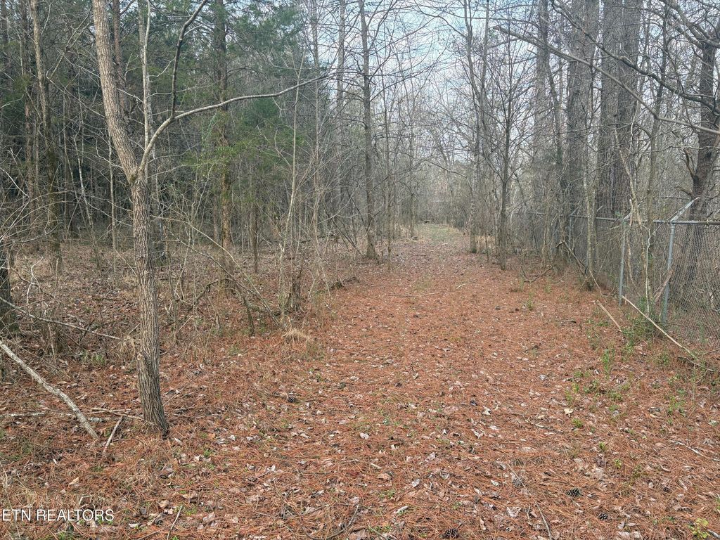 Photo of W Lamar Alex Pkwy, Friendsville, TN 37737 (MLS # 1326672)