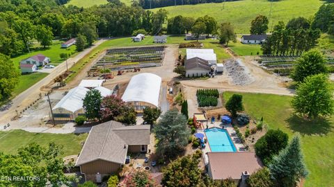 3615 Strong Rd Mascot TN 37806