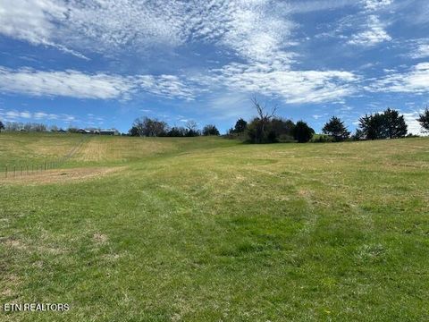 Tiny photo for 000 Swatsell Lane Lane, Parrottsville, TN 37843 (MLS # 1334692)