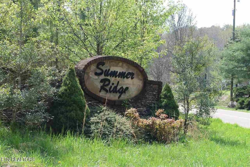 Photo of 112 Nicole Drive, Dayton, TN 37321 (MLS # 1262616)