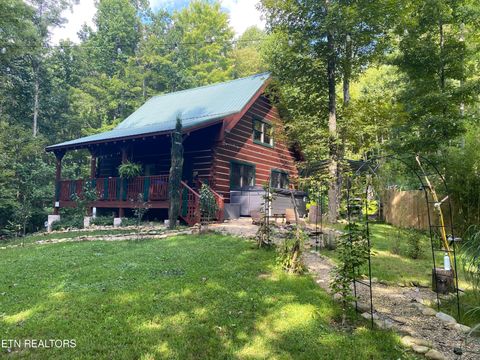 Photo of 5150 Raven Branch Rd, Del Rio, TN 37727 (MLS # 1323450)