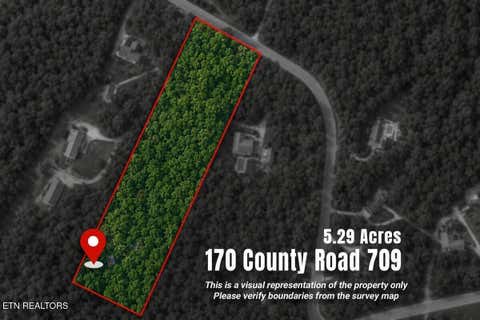 Tiny photo for 170 County Road 709, Riceville, TN 37370 (MLS # 1348201)