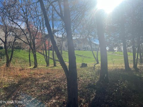 Tiny photo for 230 Morning Dove Drive, Vonore, TN 37885 (MLS # 1329102)