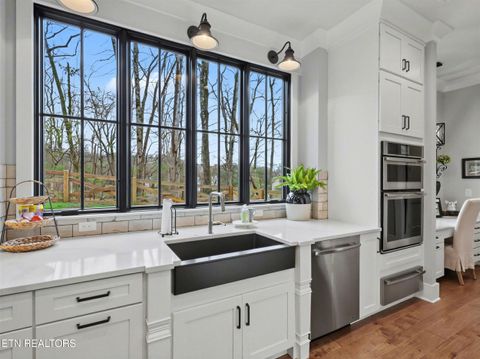 Tiny photo for 3410 Lanyard Lane, Louisville, TN 37777 (MLS # 1332443)