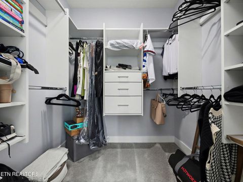 Tiny photo for 3410 Lanyard Lane, Louisville, TN 37777 (MLS # 1332443)