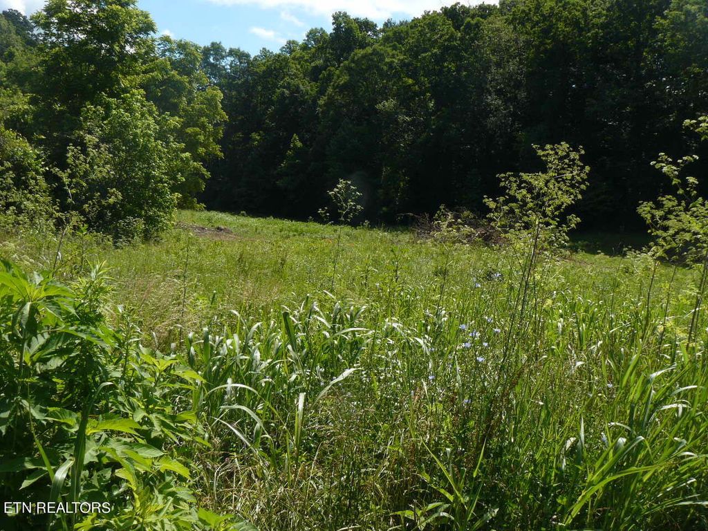 Photo of 1658 Old Cave Springs Rd, Tazewell, TN 37879 (MLS # 1266367)
