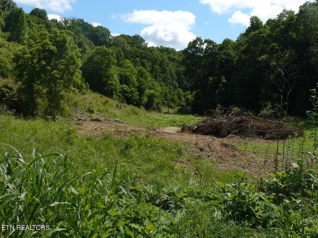 Photo of 1658 Old Cave Springs Rd, Tazewell, TN 37879 (MLS # 1266367)