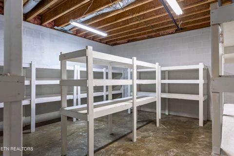 Tiny photo for 205 June Lane, Spring City, TN 37381 (MLS # 1336554)