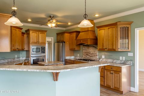 Tiny photo for 205 June Lane, Spring City, TN 37381 (MLS # 1336554)