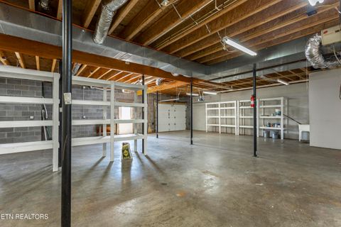 Tiny photo for 205 June Lane, Spring City, TN 37381 (MLS # 1336554)