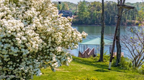 Tiny photo for 205 June Lane, Spring City, TN 37381 (MLS # 1336554)