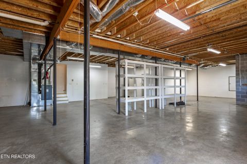 Tiny photo for 205 June Lane, Spring City, TN 37381 (MLS # 1336554)