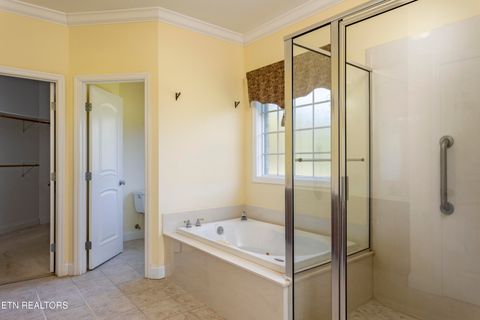 Tiny photo for 205 June Lane, Spring City, TN 37381 (MLS # 1336554)