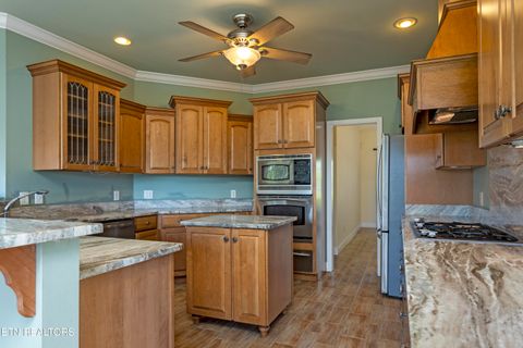 Tiny photo for 205 June Lane, Spring City, TN 37381 (MLS # 1336554)