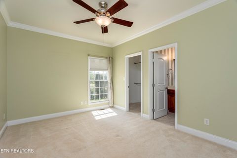 Tiny photo for 205 June Lane, Spring City, TN 37381 (MLS # 1336554)