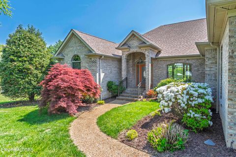 Tiny photo for 205 June Lane, Spring City, TN 37381 (MLS # 1336554)