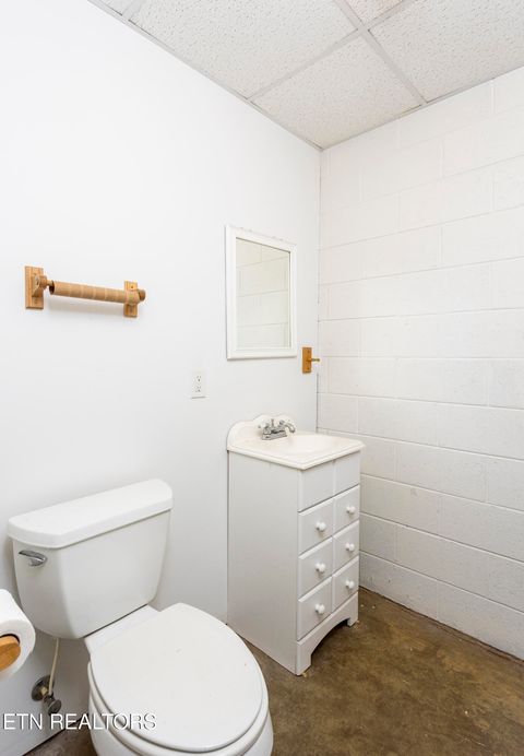 Tiny photo for 205 June Lane, Spring City, TN 37381 (MLS # 1336554)