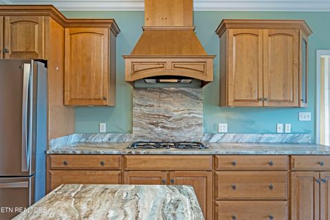 Tiny photo for 205 June Lane, Spring City, TN 37381 (MLS # 1336554)