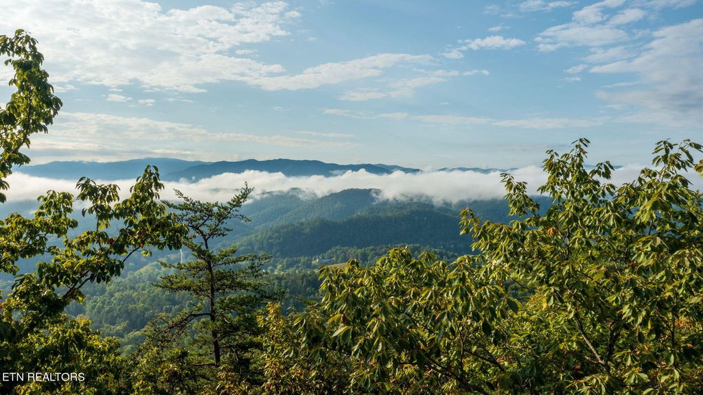 Photo of 216 Old Cove Rd, Walland, TN 37886 (MLS # 1240343)