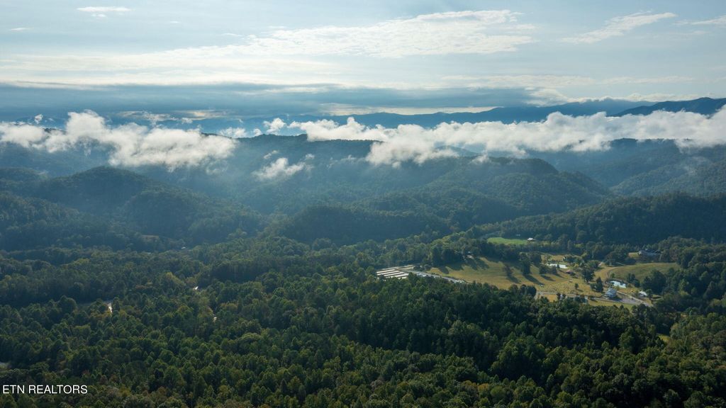 Photo of 216 Old Cove Rd, Walland, TN 37886 (MLS # 1240343)