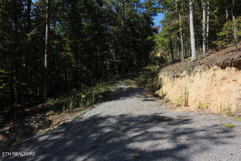 Photo of 216 Old Cove Rd, Walland, TN 37886 (MLS # 1240343)