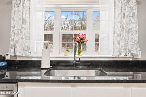 Tiny photo for 125 Denise Drive, Speedwell, TN 37870 (MLS # 1330825)