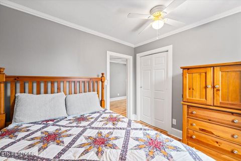 Tiny photo for 125 Denise Drive, Speedwell, TN 37870 (MLS # 1330825)