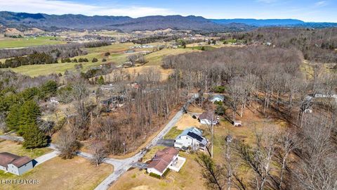 Tiny photo for 125 Denise Drive, Speedwell, TN 37870 (MLS # 1330825)