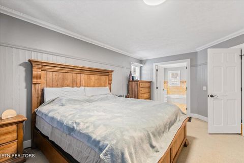 Tiny photo for 125 Denise Drive, Speedwell, TN 37870 (MLS # 1330825)