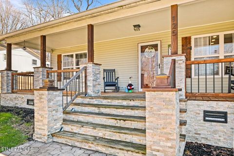 Tiny photo for 125 Denise Drive, Speedwell, TN 37870 (MLS # 1330825)